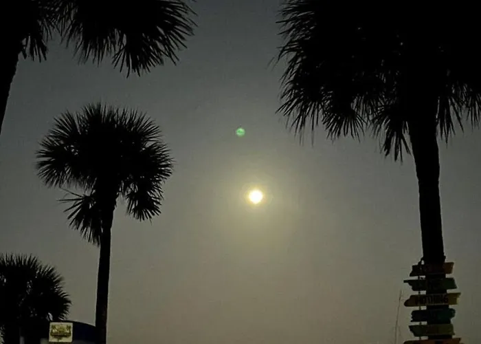 "grove" Historic Beachside * Clearwater Beach